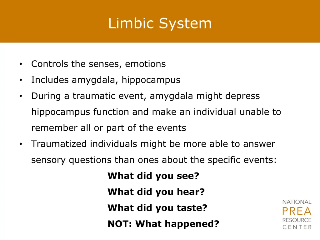 limbic system