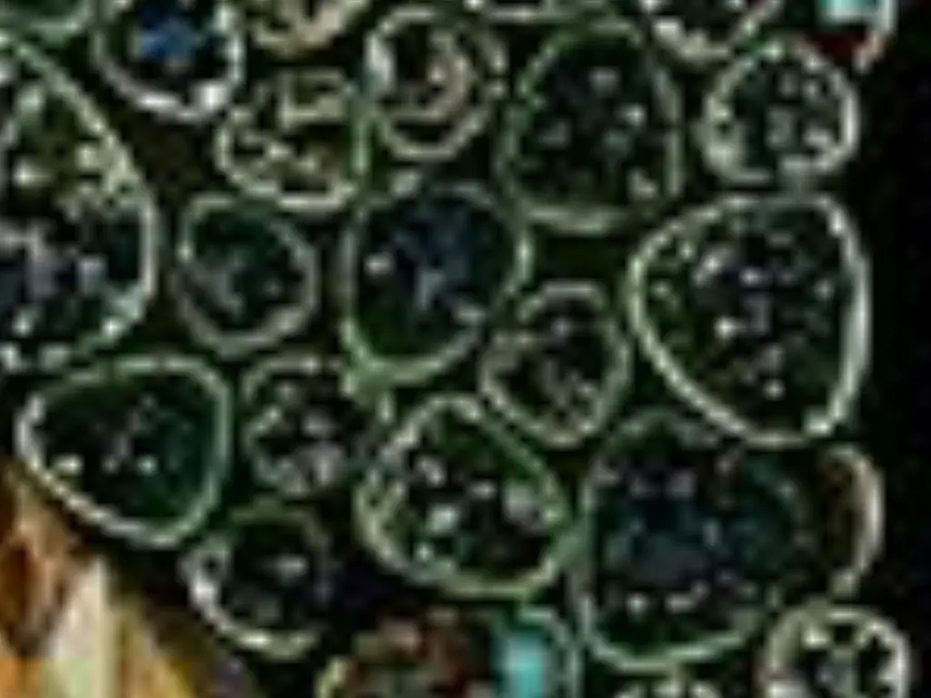 slide10