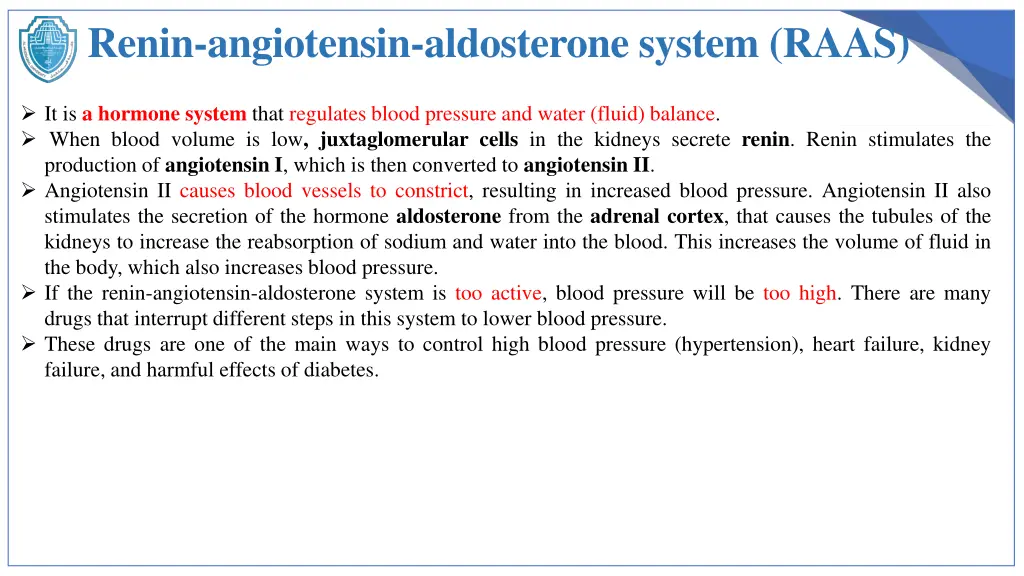 renin angiotensin aldosterone system raas