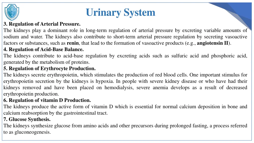 urinary system 1