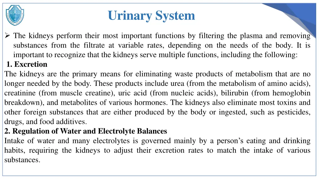 urinary system