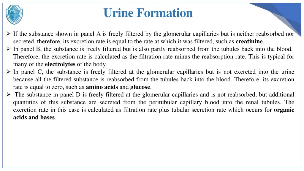 urine formation 2