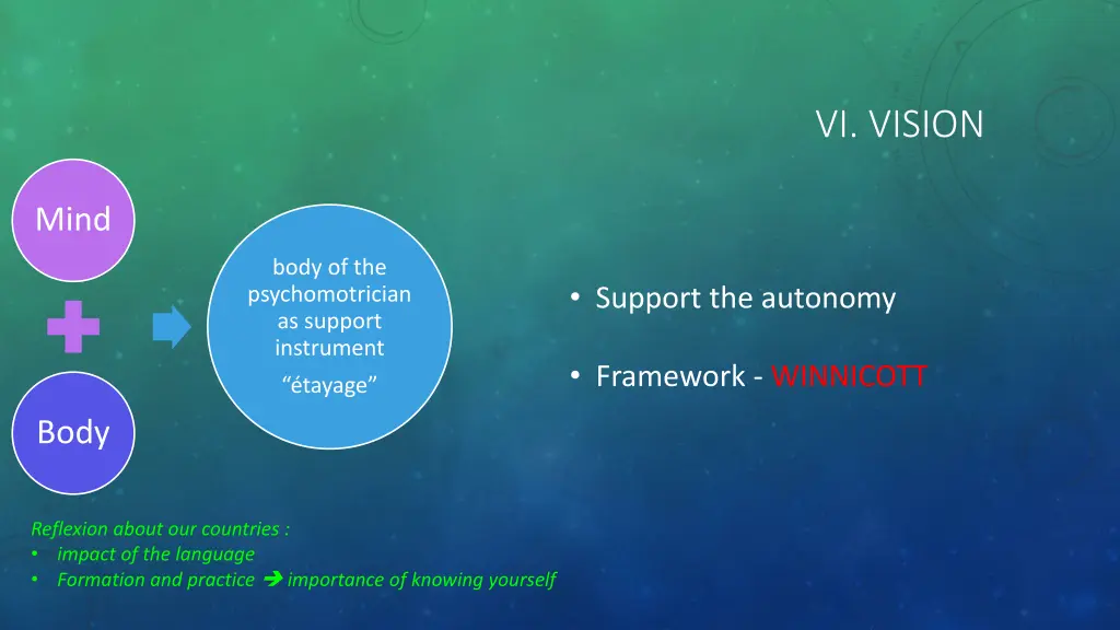 vi vision