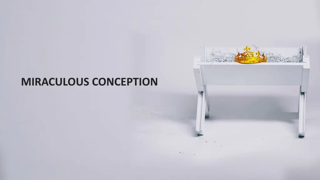 miraculous conception