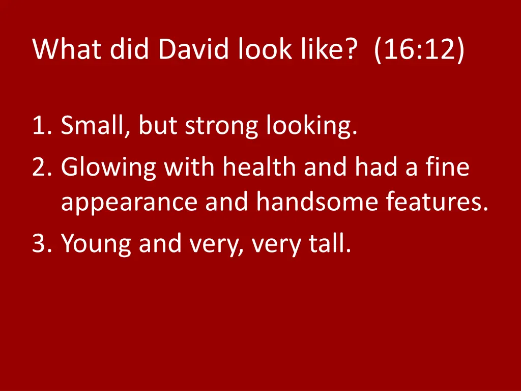 what did david look like 16 12