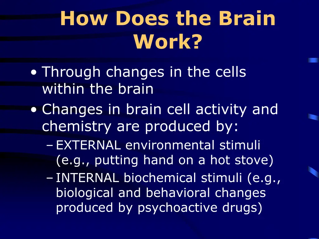 how does the brain work