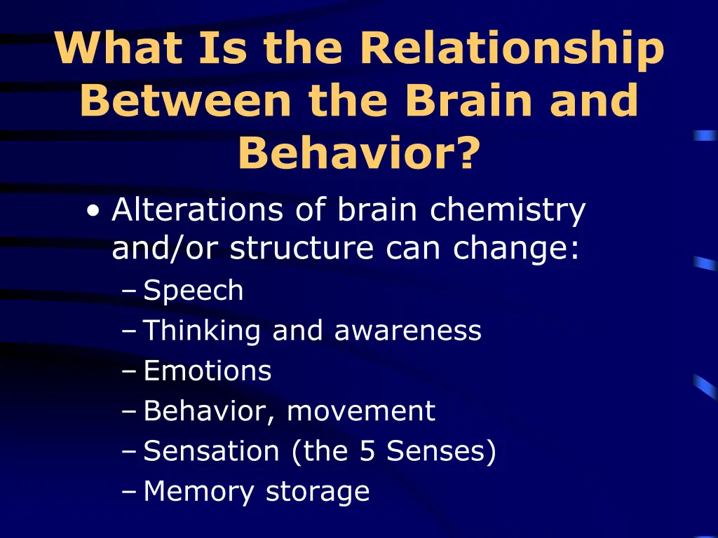 what is the relationship between the brain