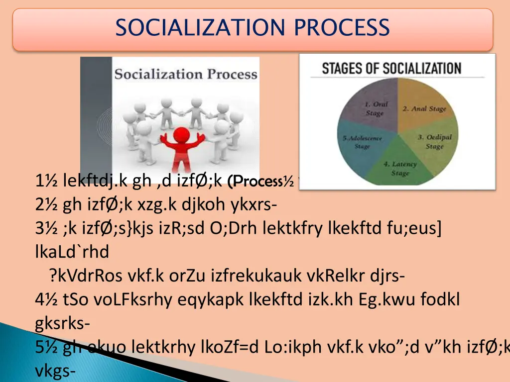 socialization process