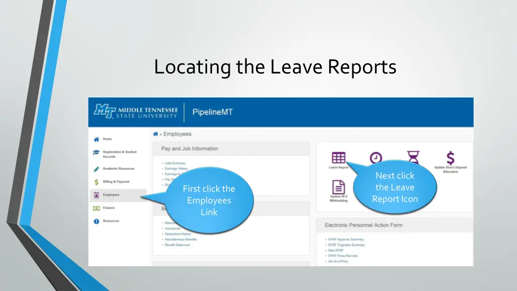 locating the leave reports