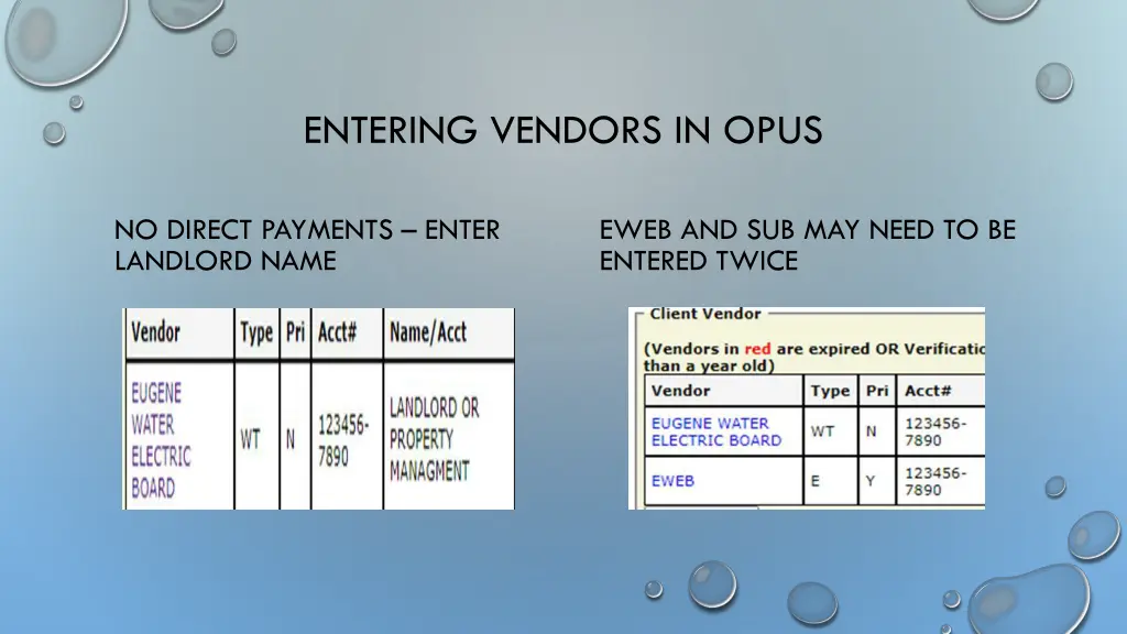 entering vendors in opus