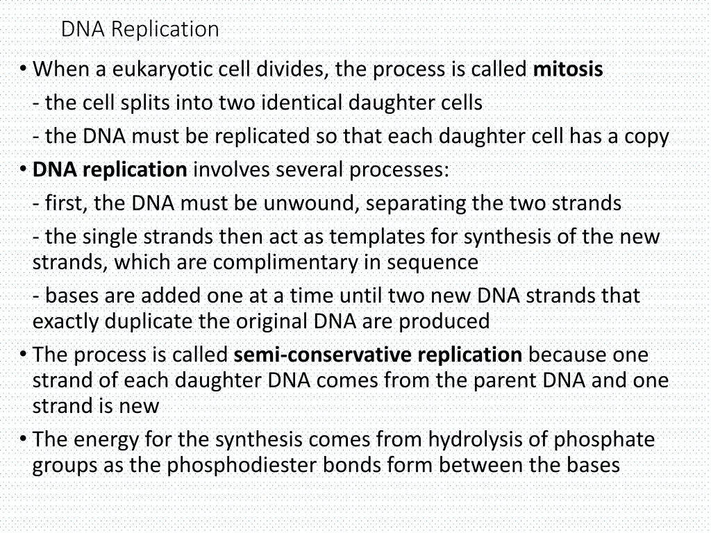 dna replication 1