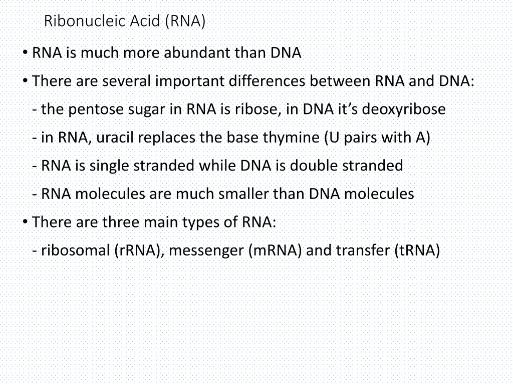 ribonucleic acid rna