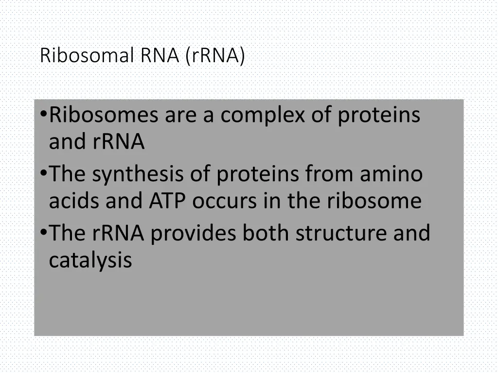 ribosomal rna rrna