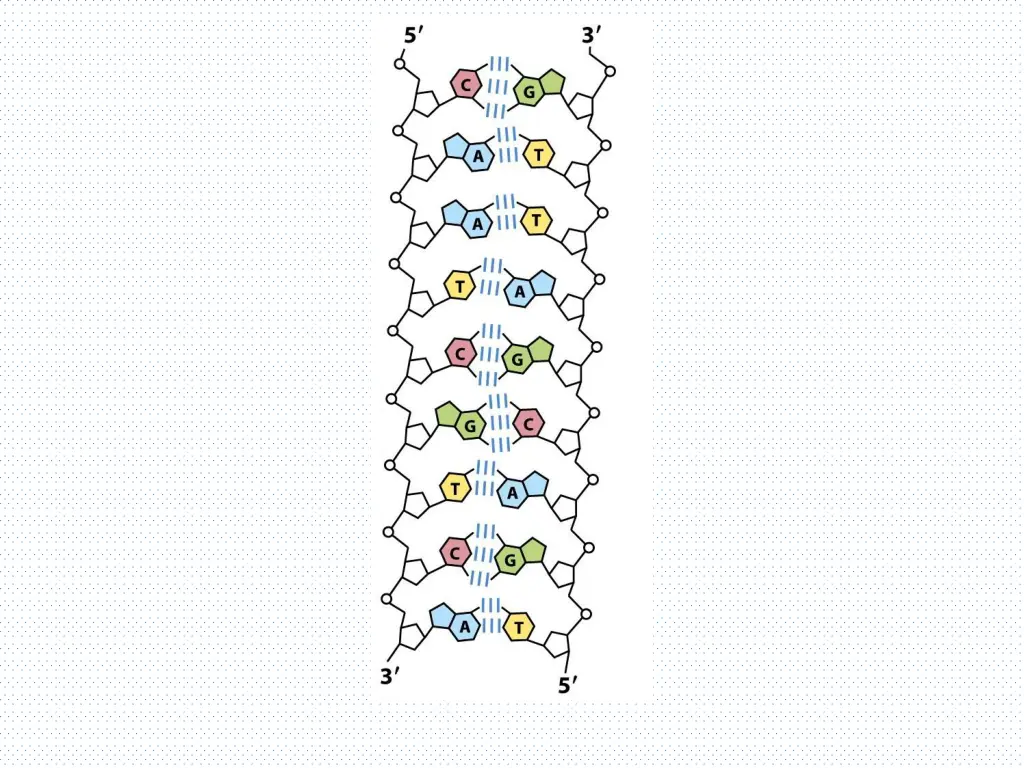 slide8
