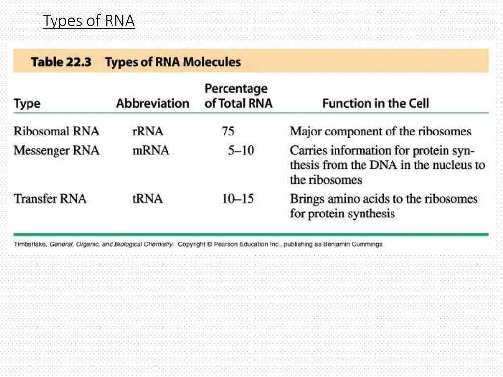 types of rna