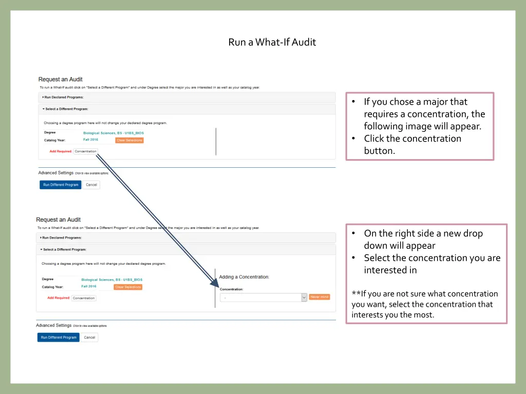 run a what if audit 3
