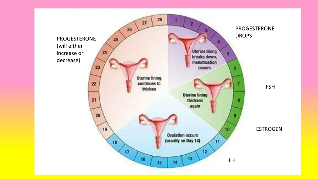 progesterone drops