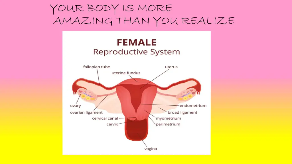 your body is more amazing than you realize