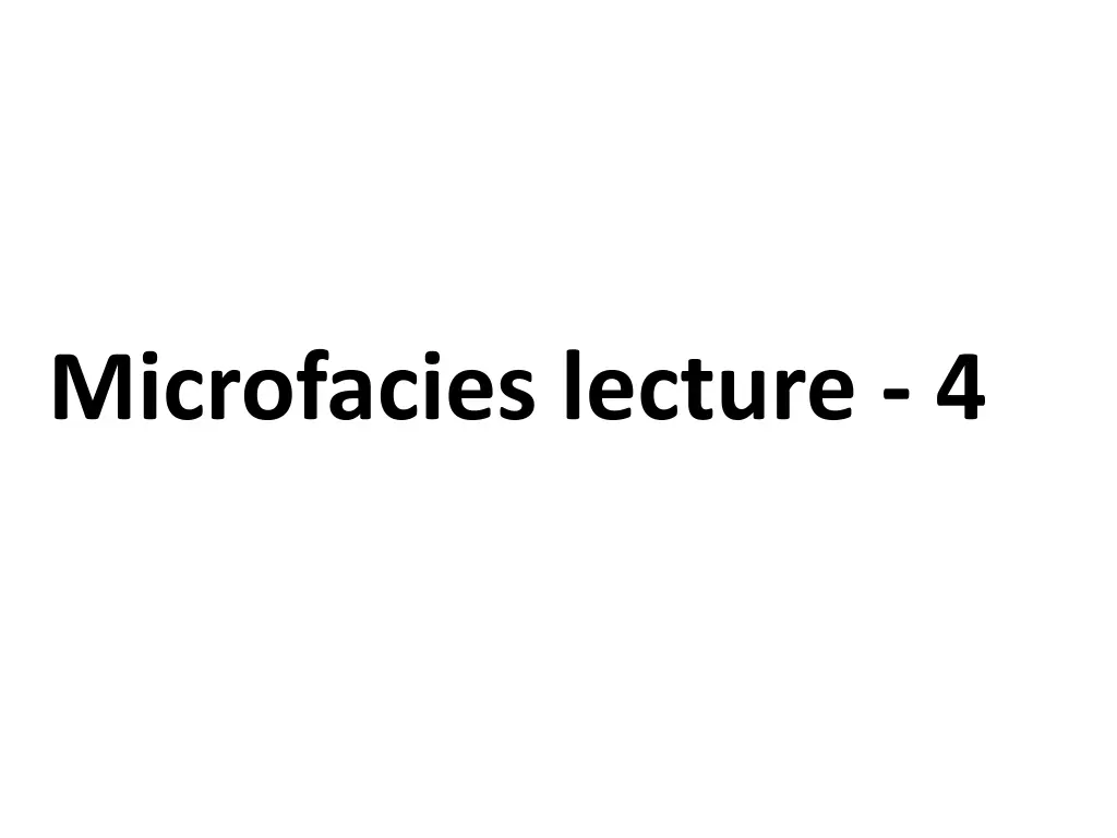 microfacies lecture 4