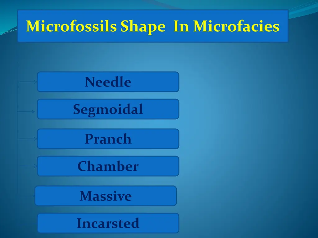 microfossils shape in microfacies