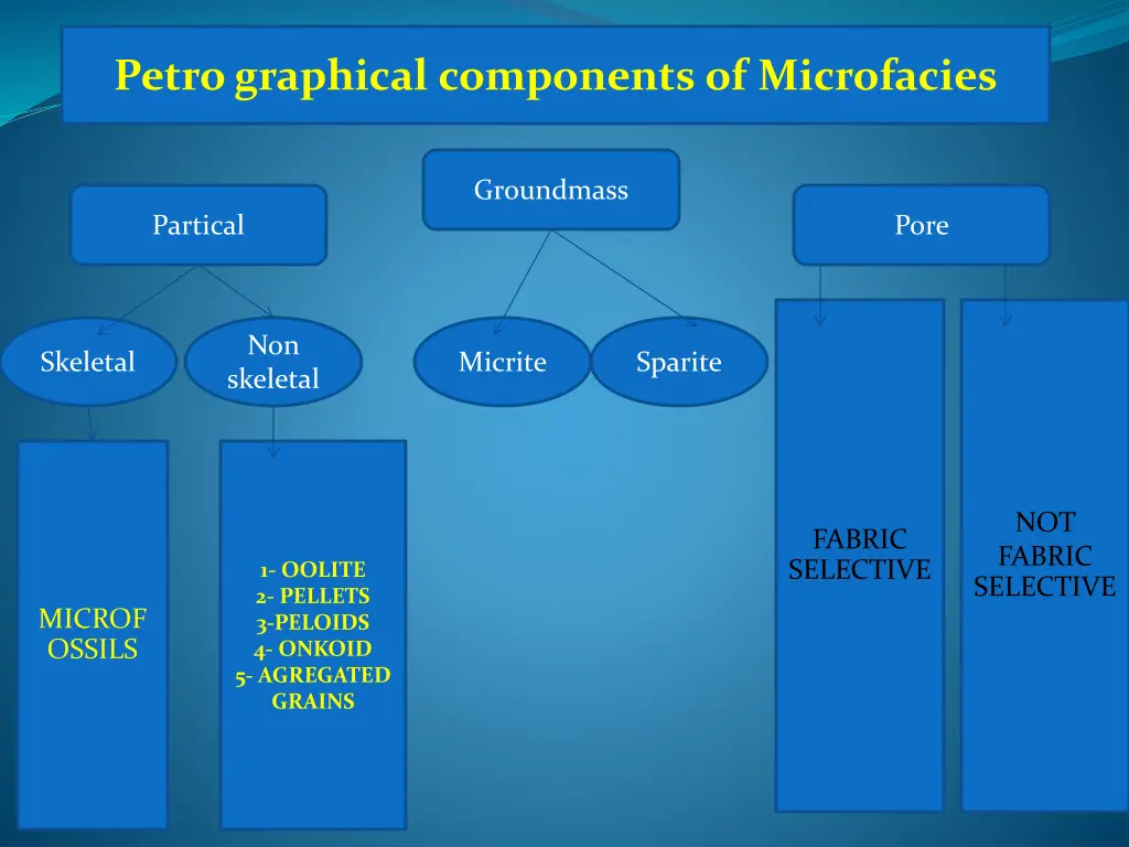 petro graphical components of microfacies