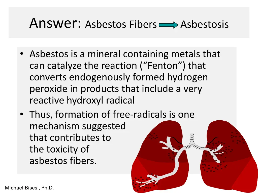 answer asbestos fibers asbestosis