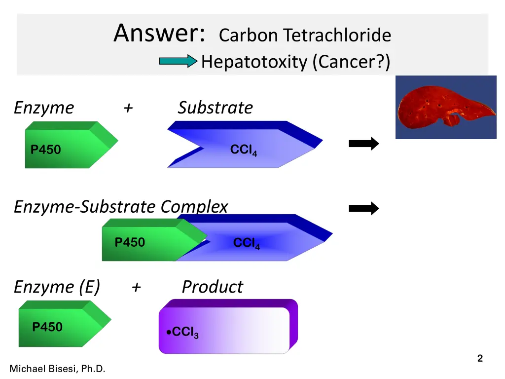 answer carbon tetrachloride hepatotoxity cancer