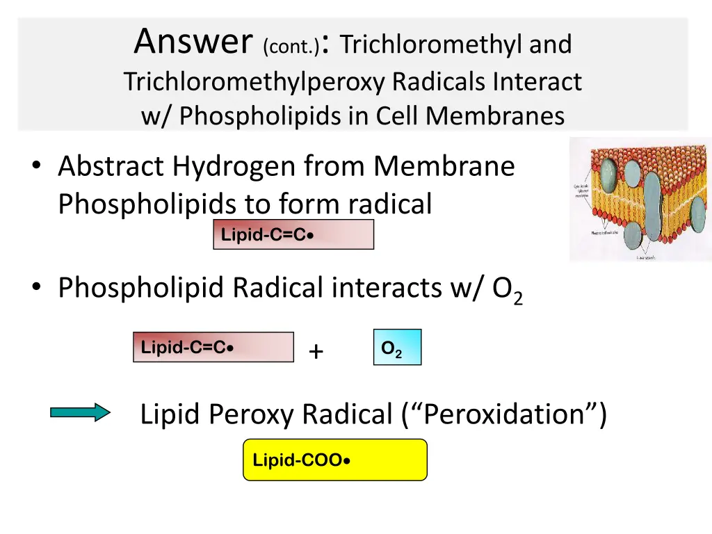 answer cont trichloromethyl