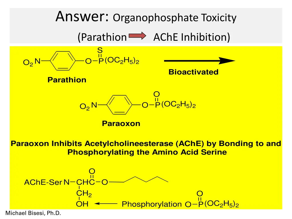 answer organophosphate toxicity parathion ache