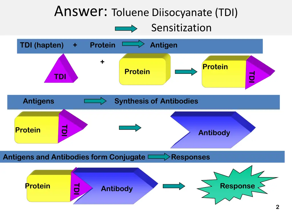 answer toluene diisocyanate tdi sensitization