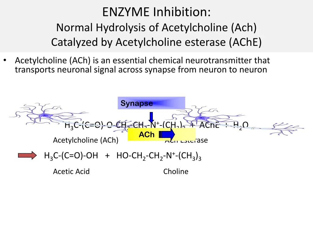 enzyme inhibition normal hydrolysis
