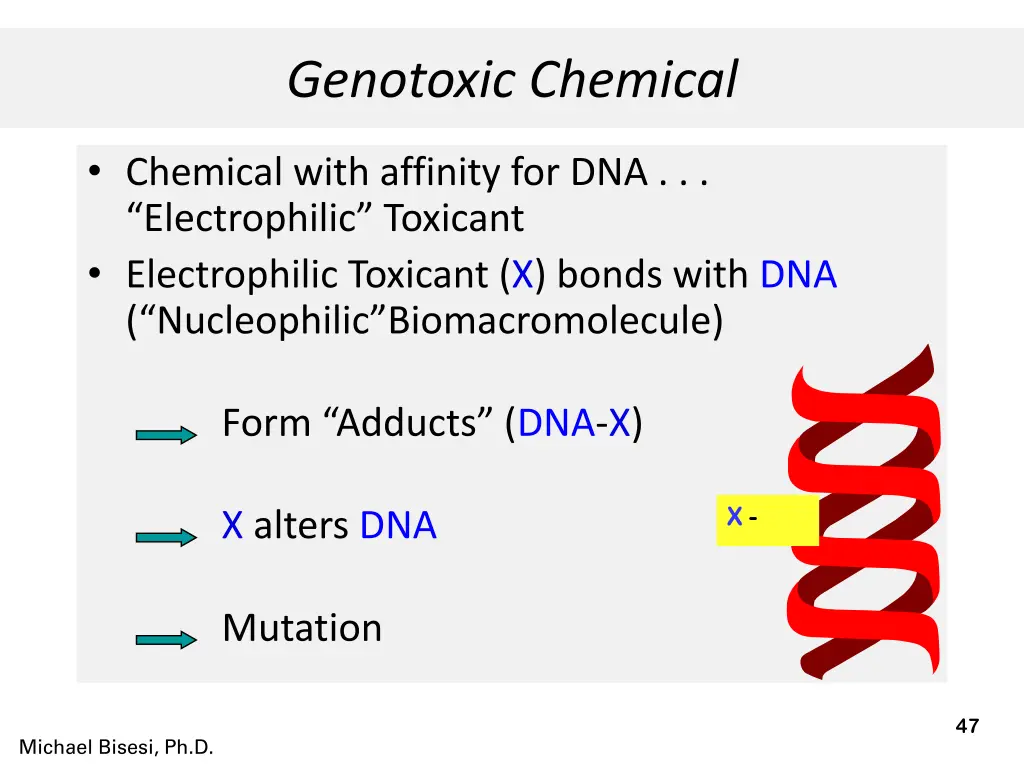 genotoxic chemical