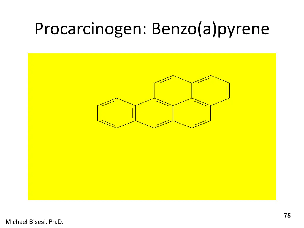procarcinogen benzo a pyrene