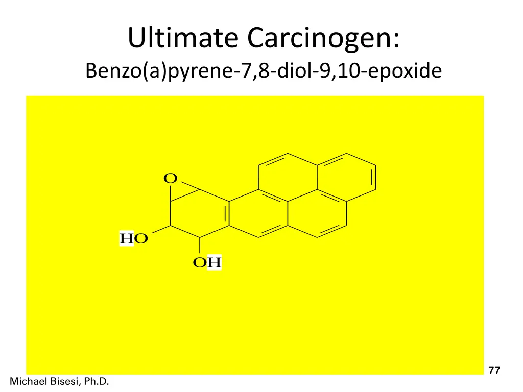ultimate carcinogen benzo a pyrene 7 8 diol