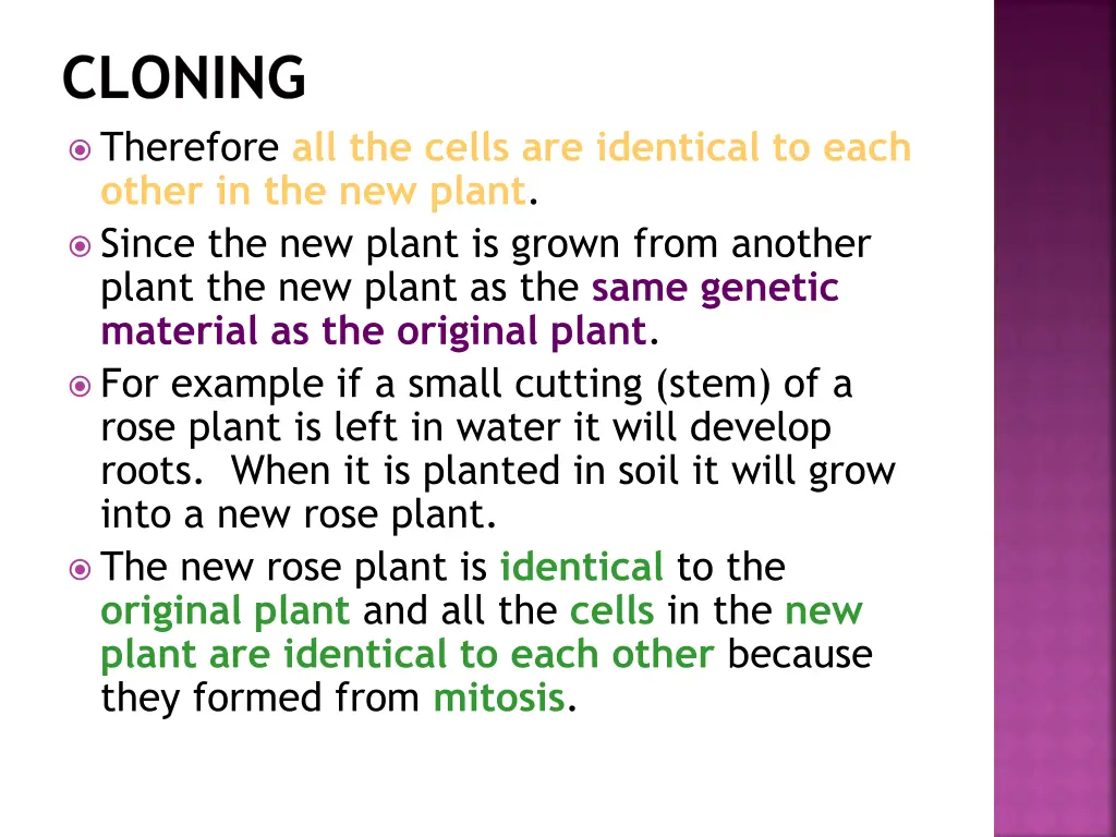 cloning therefore all the cells are identical