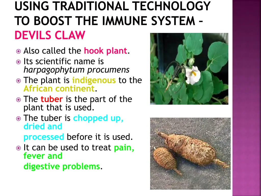 using traditional technology to boost the immune 6