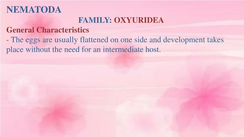 nematoda 1