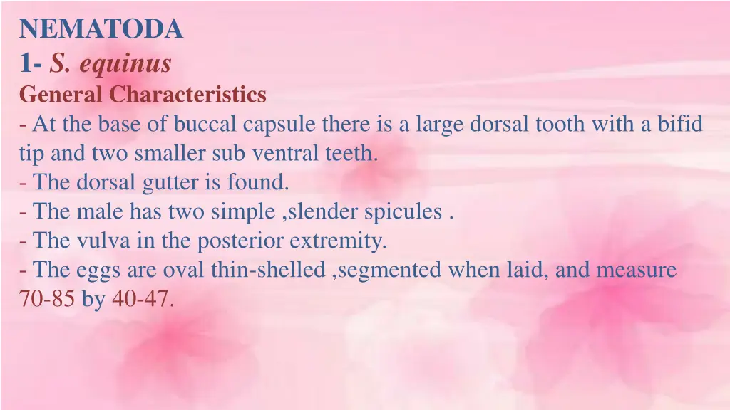 nematoda 1 s equinus general characteristics