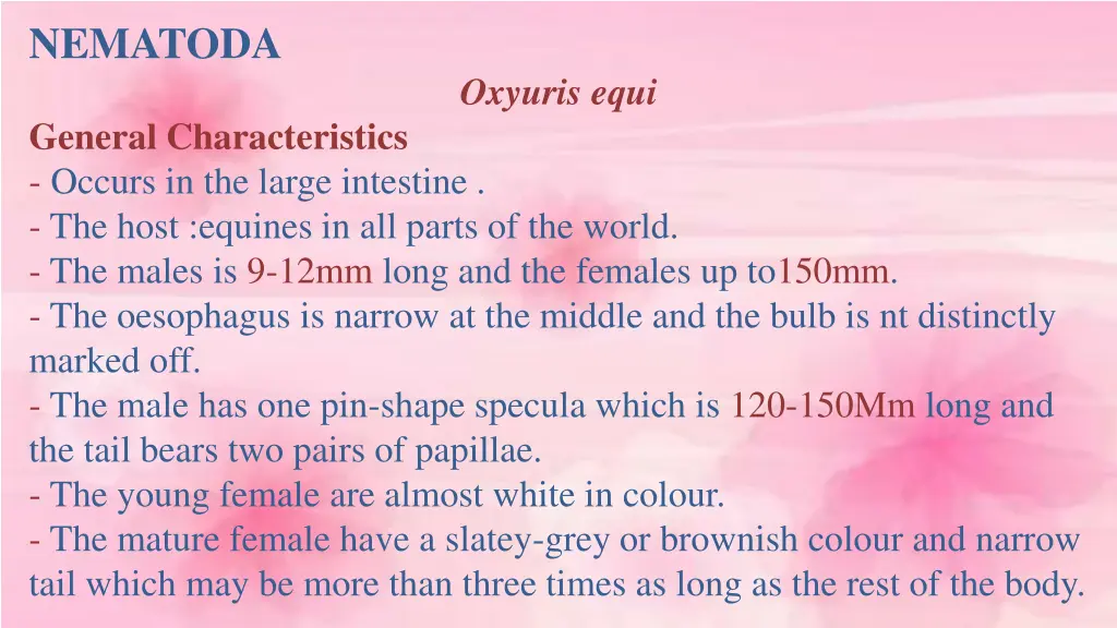 nematoda 2