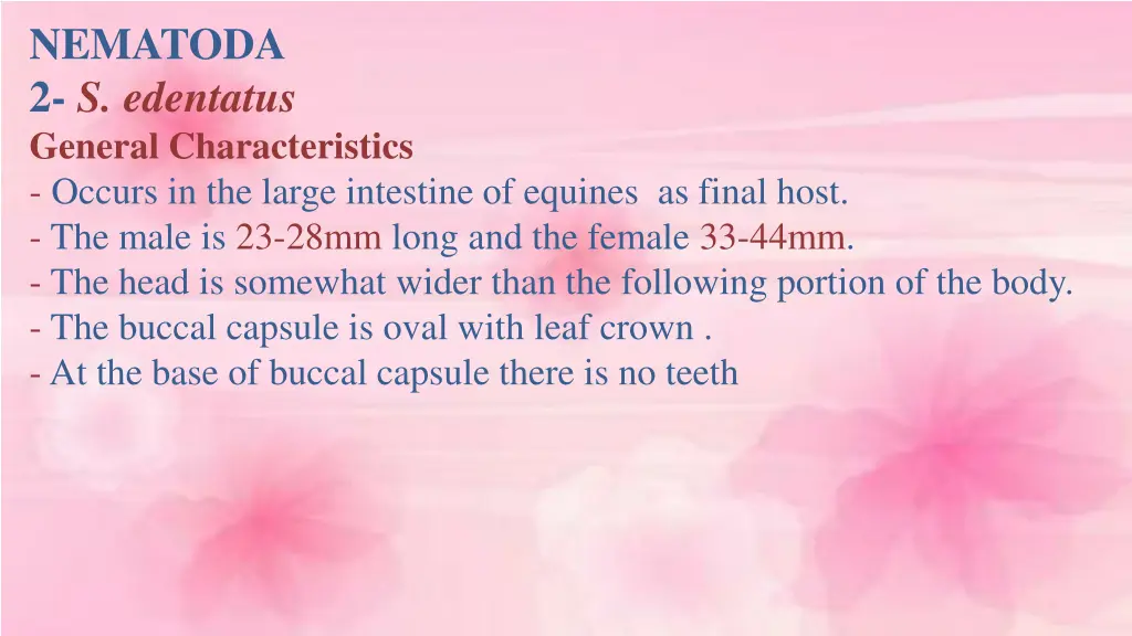 nematoda 2 s edentatus general characteristics