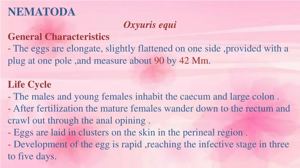nematoda 3