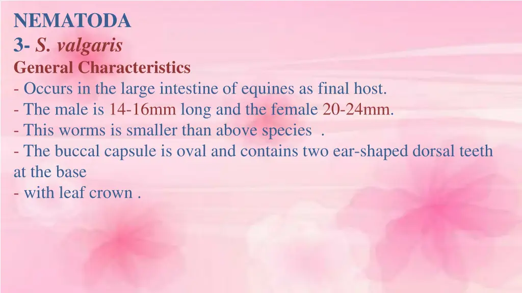 nematoda 3 s valgaris general characteristics