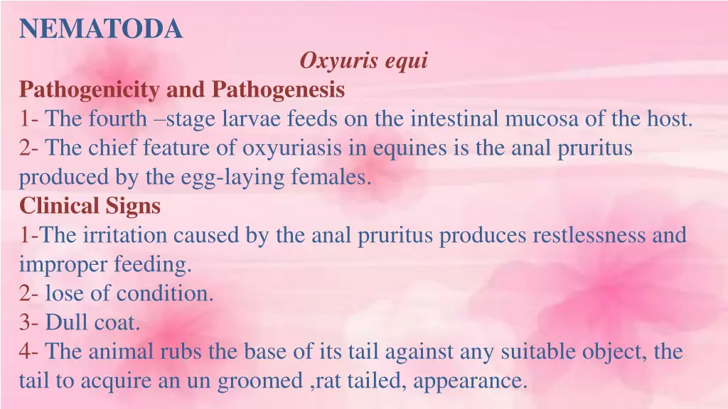 nematoda 6