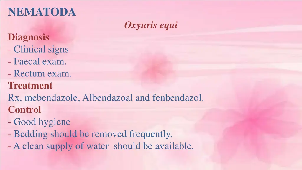 nematoda 7