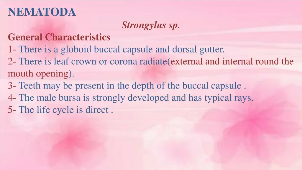 nematoda 8