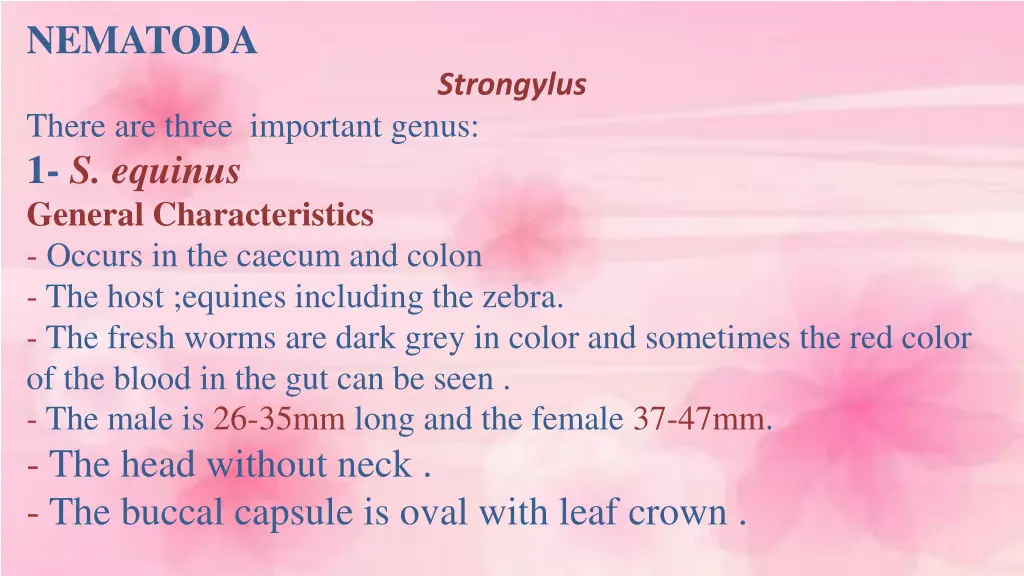 nematoda 9