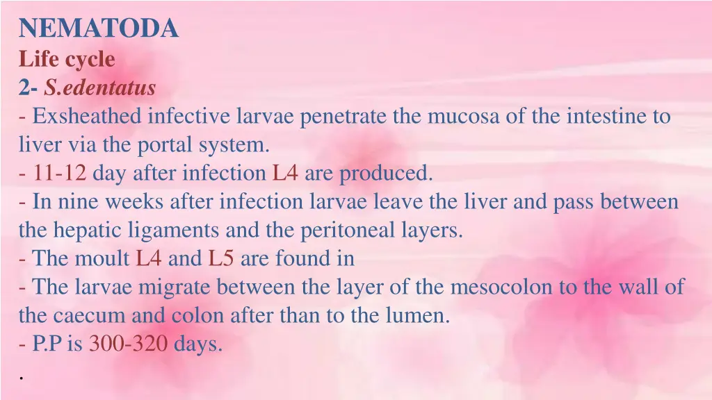 nematoda life cycle 2 s edentatus exsheathed