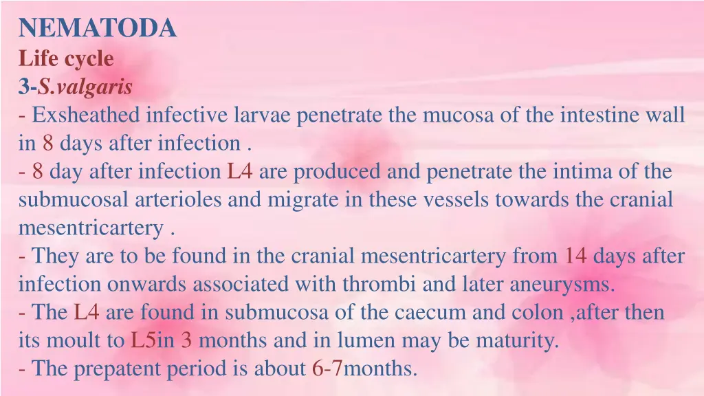 nematoda life cycle 3 s valgaris exsheathed