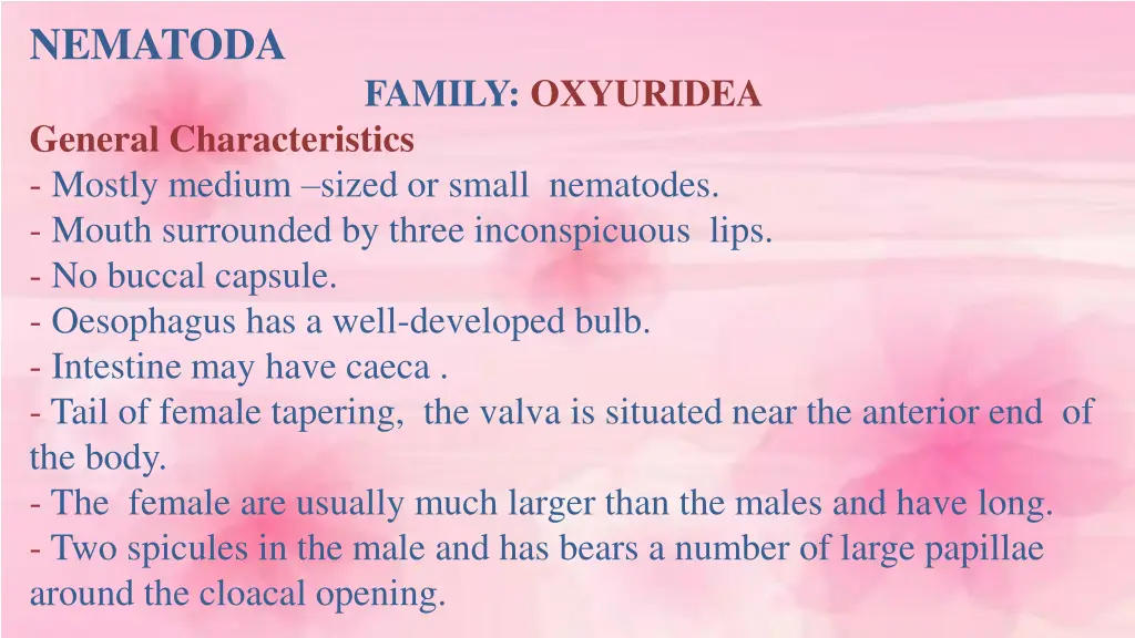 nematoda