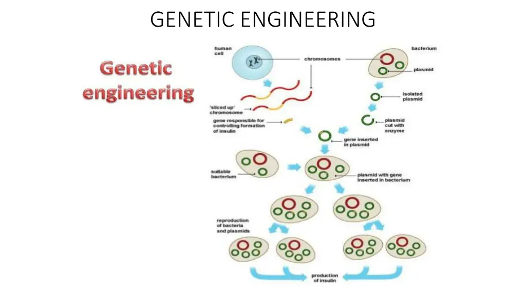 genetic engineering